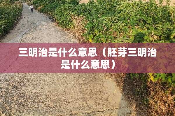 三明治是什么意思（胚芽三明治是什么意思）