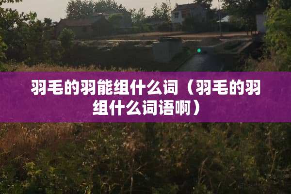 羽毛的羽能组什么词（羽毛的羽组什么词语啊）