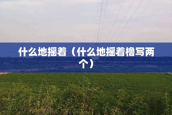 什么地摇着（什么地摇着橹写两个）