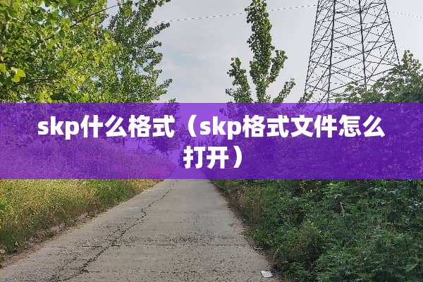 skp什么格式（skp格式文件怎么打开）