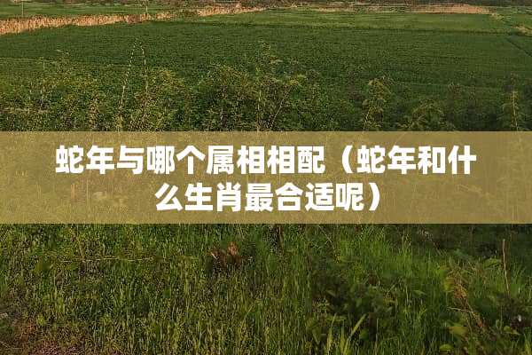 蛇年与哪个属相相配（蛇年和什么生肖最合适呢）