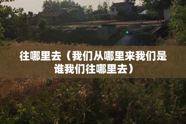 往哪里去（我们从哪里来我们是谁我们往哪里去）