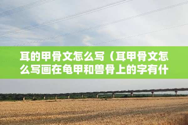 耳的甲骨文怎么写（耳甲骨文怎么写画在龟甲和兽骨上的字有什么）