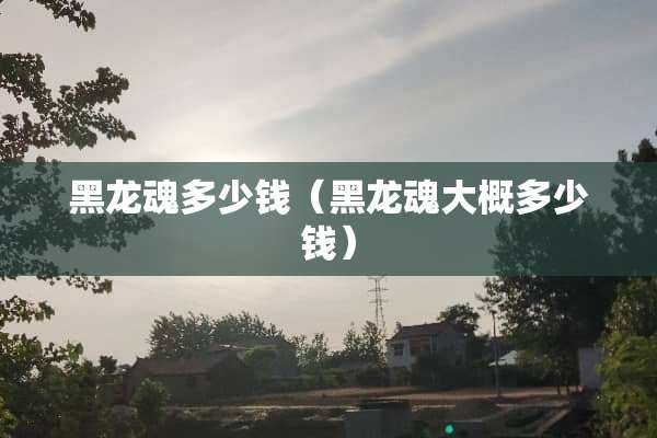 黑龙魂多少钱（黑龙魂大概多少钱）