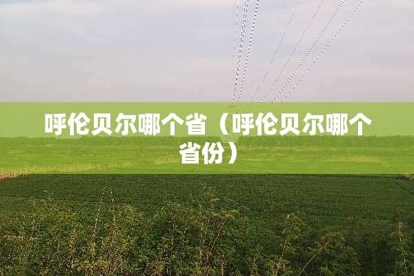呼伦贝尔哪个省（呼伦贝尔哪个省份）