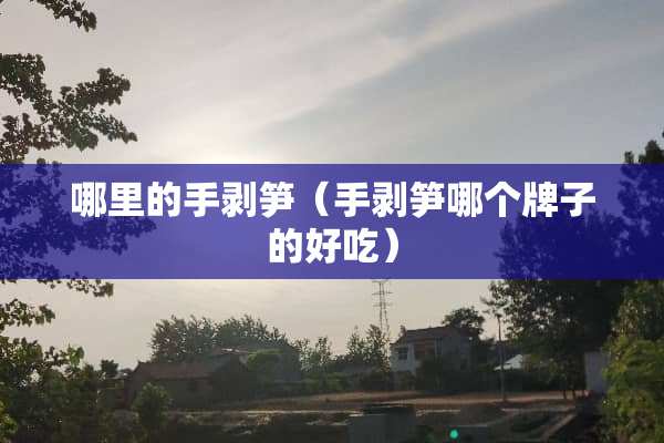 哪里的手剥笋（手剥笋哪个牌子的好吃）