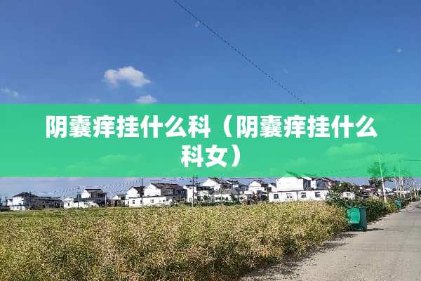 *囊痒挂什么科（*囊痒挂什么科女）