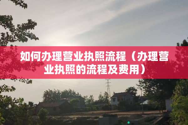 如何办理营业执照流程（办理营业执照的流程及费用）