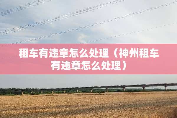 租车有违章怎么处理（神州租车有违章怎么处理）