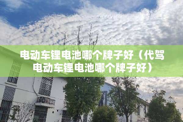 电动车锂电池哪个牌子好（代驾电动车锂电池哪个牌子好）