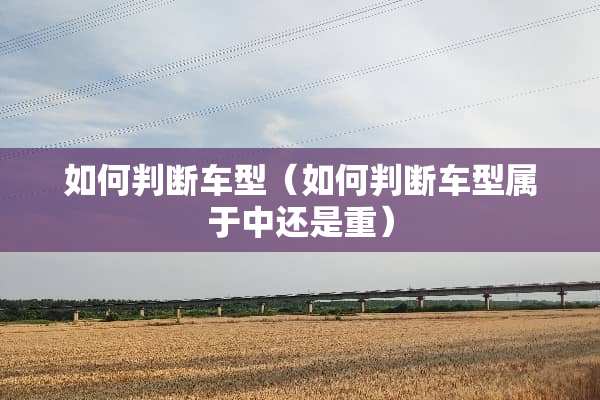 如何判断车型（如何判断车型属于中还是重）