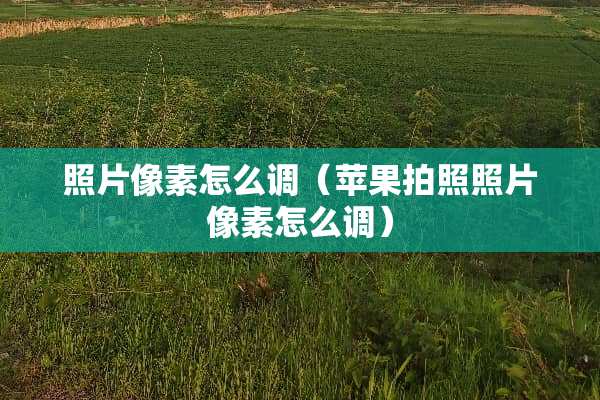 照片像素怎么调（苹果拍照照片像素怎么调）