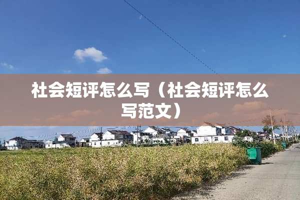 社会短评怎么写（社会短评怎么写范文）