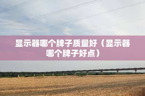 显示器哪个牌子质量好（显示器哪个牌子好点）