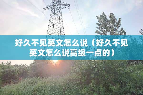 好久不见英文怎么说（好久不见英文怎么说高级一点的）