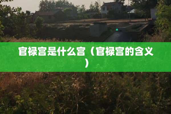 官禄宫是什么宫（官禄宫的含义）