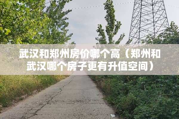 武汉和郑州房价哪个高（郑州和武汉哪个房子更有升值空间）