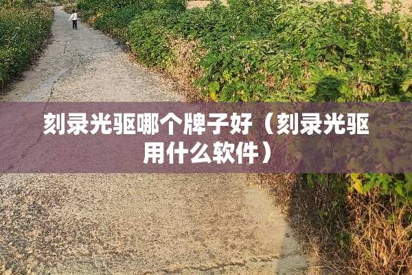 刻录光驱哪个牌子好（刻录光驱用什么软件）