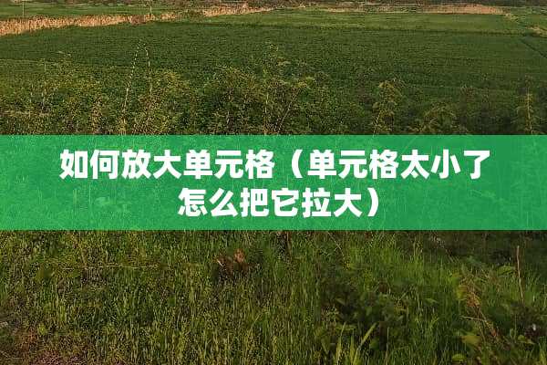 如何放大单元格（单元格太小了 怎么把它拉大）