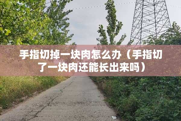 手指切掉一块肉怎么办（手指切了一块肉还能长出来吗）