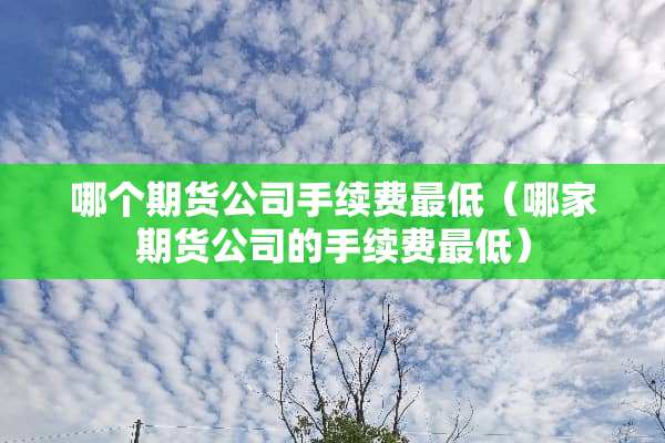 哪个期货公司手续费最低（哪家期货公司的手续费最低）