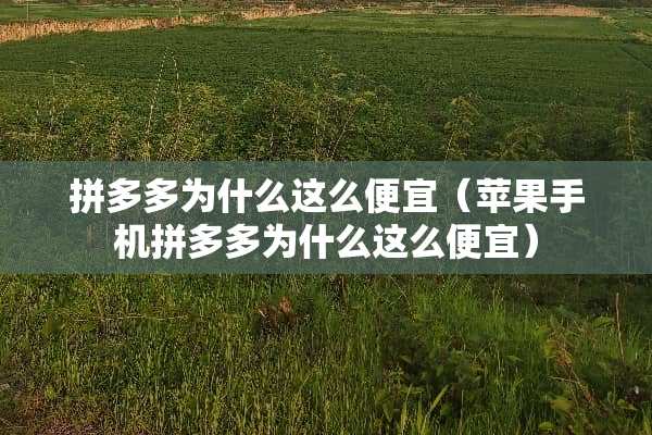 拼多多为什么这么便宜（苹果手机拼多多为什么这么便宜）