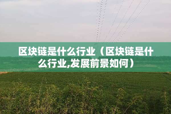 区块链是什么行业（区块链是什么行业,发展前景如何）