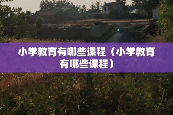 小学教育有哪些课程（小学教育有哪些课程）