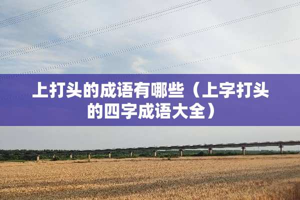 上打头的成语有哪些（上字打头的四字成语大全）
