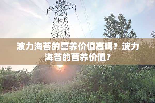 波力海苔的营养价值高吗？波力海苔的营养价值？