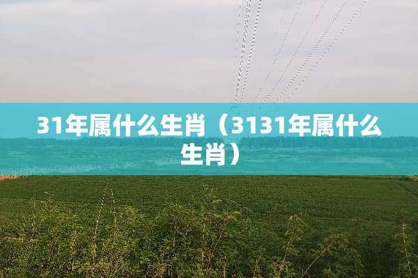 31年属什么生肖（3131年属什么生肖）