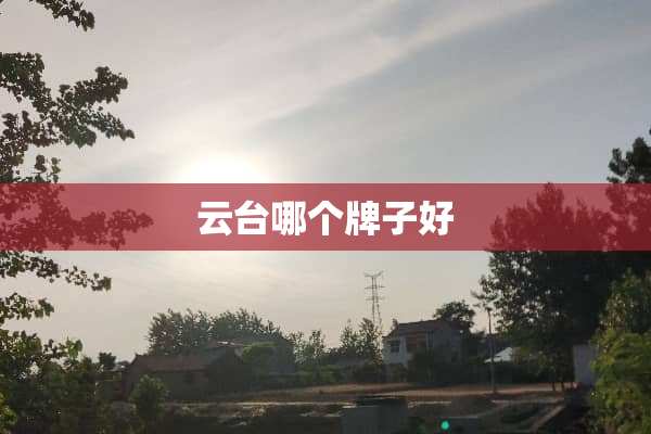 云台哪个牌子好