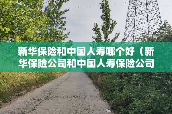新华保险和中国人寿哪个好（新华保险公司和中国人寿保险公司哪个好）