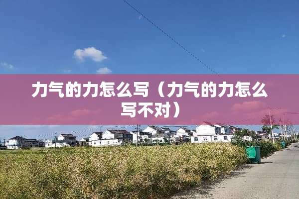 力气的力怎么写（力气的力怎么写不对）