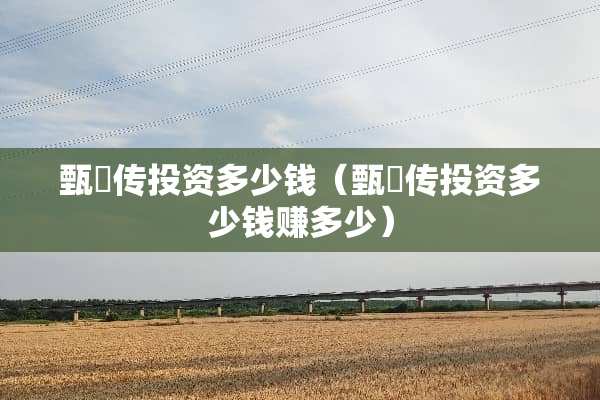 甄嬛传投资多少钱（甄嬛传投资多少钱赚多少）