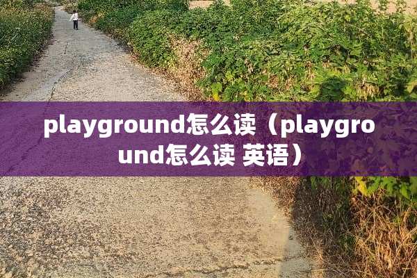 playground怎么读（playground怎么读 英语）