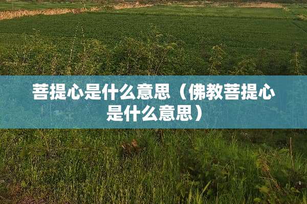 **心是什么意思（佛教**心是什么意思）