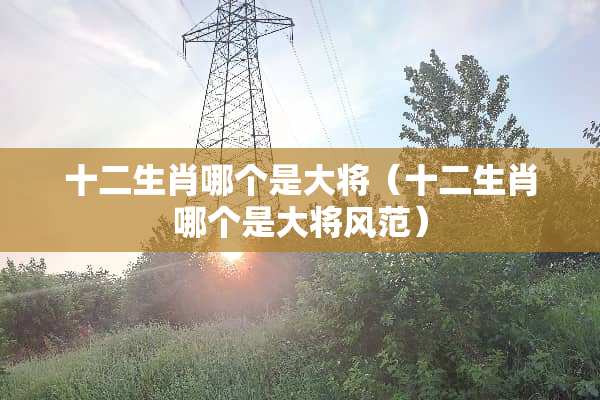 十二生肖哪个是大将（十二生肖哪个是大将风范）