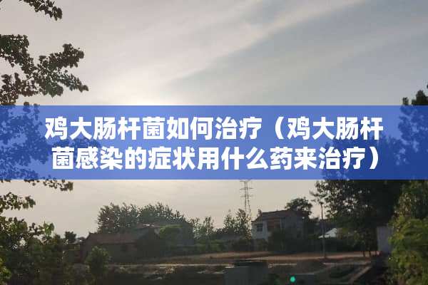 鸡大肠杆菌如何治疗（鸡大肠杆菌感染的症状用什么药来治疗）