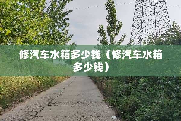修汽车水箱多少钱（修汽车水箱多少钱）