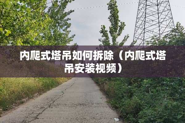 内爬式塔吊如何拆除（内爬式塔吊安装视频）