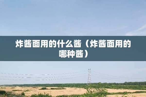 炸酱面用的什么酱（炸酱面用的哪种酱）