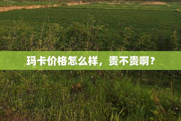 玛卡价格怎么样，贵不贵啊？