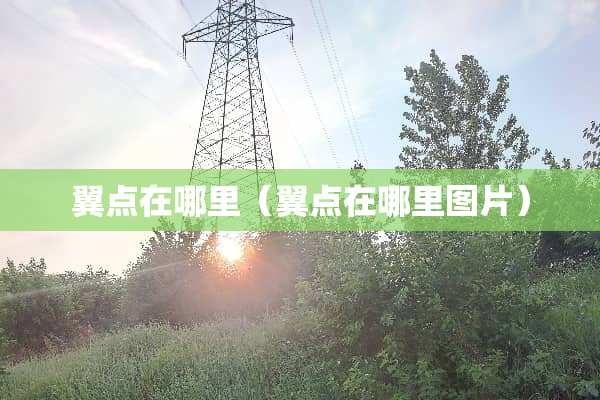 翼点在哪里（翼点在哪里图片）