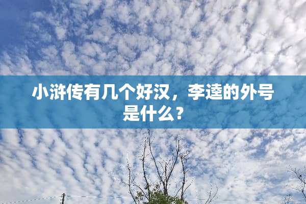 小浒传有几个好汉，李逵的外号是什么？