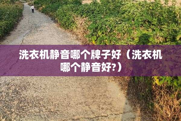 洗衣机静音哪个牌子好（洗衣机哪个静音好?）