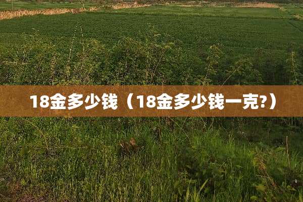 18金多少钱（18金多少钱一克?）