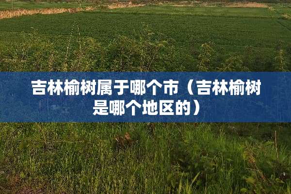 吉林榆树属于哪个市（吉林榆树是哪个地区的）