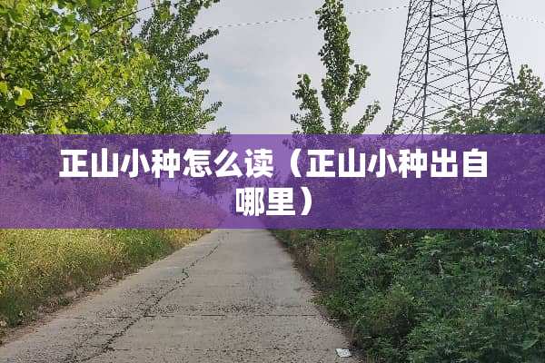正山小种怎么读（正山小种出自哪里）