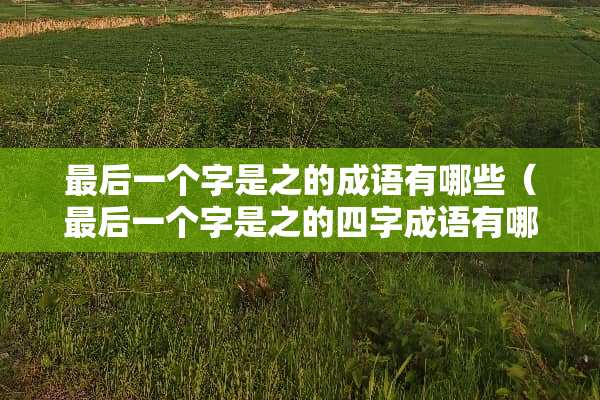 最后一个字是之的成语有哪些（最后一个字是之的四字成语有哪些）